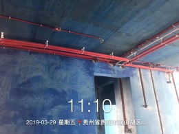 天一国际