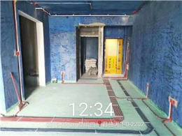 鸿基君临天下