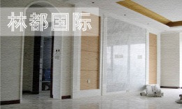 林都国际