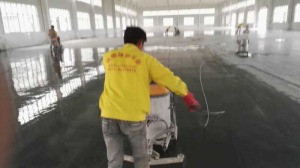 公司介绍